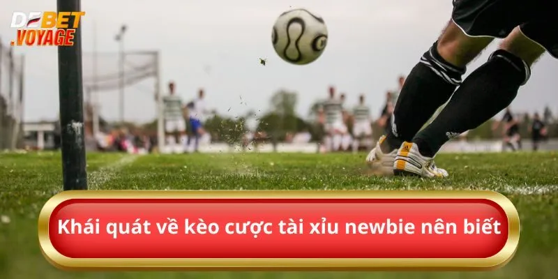 Kèo Tài Xỉu - Sự Lựa Chọn Hoàn Hảo Của Cược Thủ Debet 1 Khái quát về kèo cược tài xỉu newbie nên biết